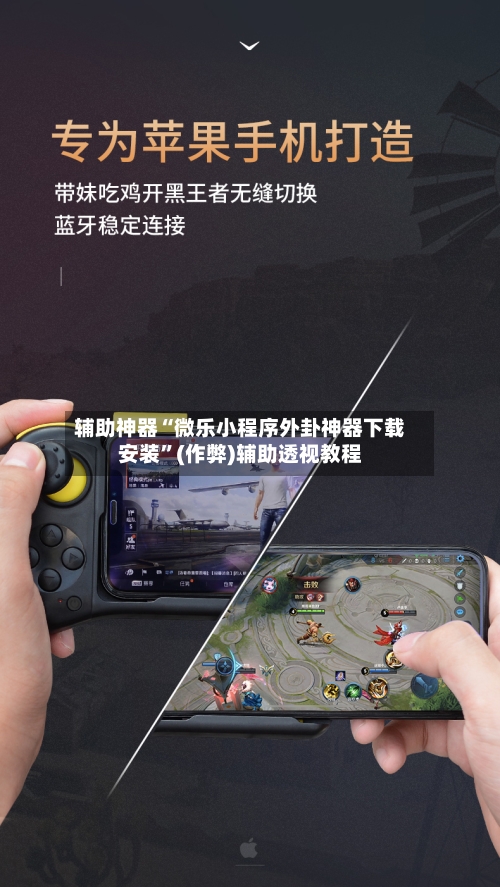 辅助神器“微乐小程序外卦神器下载安装”(作弊)辅助透视教程-第2张图片