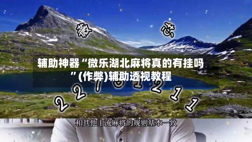 辅助神器“微乐湖北麻将真的有挂吗”(作弊)辅助透视教程-第2张图片
