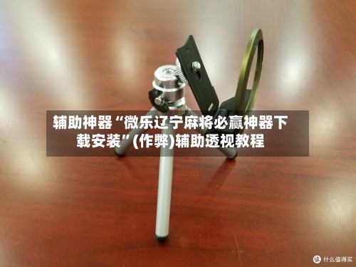 辅助神器“微乐辽宁麻将必赢神器下载安装”(作弊)辅助透视教程-第2张图片