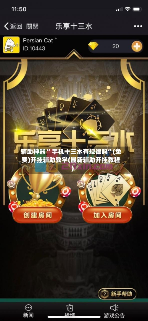 辅助神器“ 手机十三水有规律吗”(免费)开挂辅助教学(最新辅助开挂教程)-第2张图片