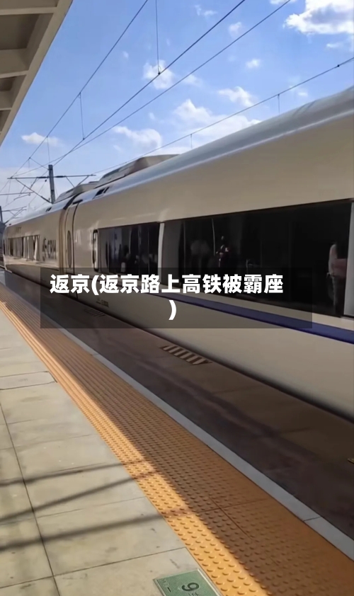 返京(返京路上高铁被霸座)