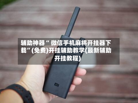 辅助神器“ 微信手机麻将开挂器下载”(免费)开挂辅助教学(最新辅助开挂教程)-第3张图片