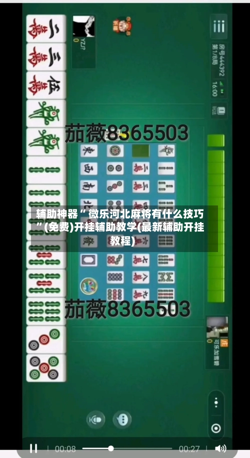 辅助神器“ 微乐河北麻将有什么技巧”(免费)开挂辅助教学(最新辅助开挂教程)