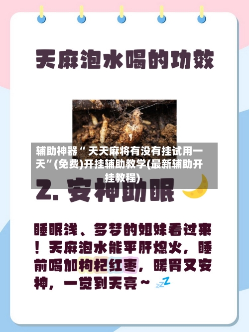 辅助神器“ 天天麻将有没有挂试用一天	”(免费)开挂辅助教学(最新辅助开挂教程)-第2张图片