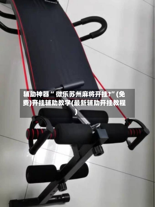 辅助神器“ 微乐苏州麻将开挂?”(免费)开挂辅助教学(最新辅助开挂教程)-第3张图片