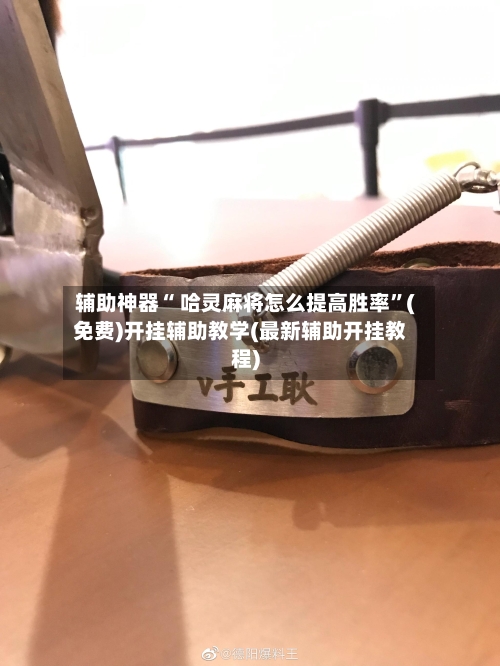 辅助神器“ 哈灵麻将怎么提高胜率”(免费)开挂辅助教学(最新辅助开挂教程)-第2张图片