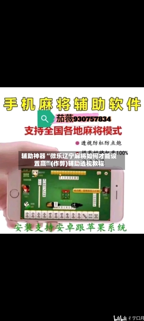 辅助神器“微乐辽宁麻将如何才能设置赢”(作弊)辅助透视教程-第2张图片
