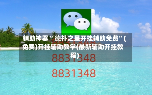 辅助神器“ 德扑之星开挂辅助免费”(免费)开挂辅助教学(最新辅助开挂教程)-第3张图片