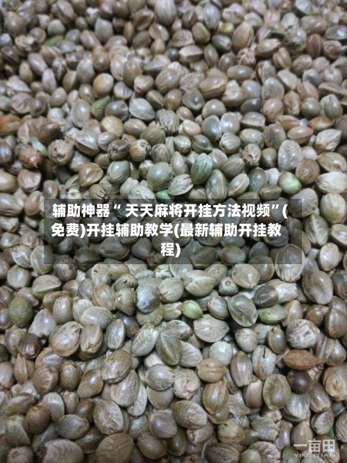 辅助神器“ 天天麻将开挂方法视频”(免费)开挂辅助教学(最新辅助开挂教程)
