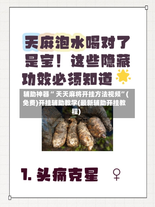 辅助神器“ 天天麻将开挂方法视频”(免费)开挂辅助教学(最新辅助开挂教程)-第2张图片