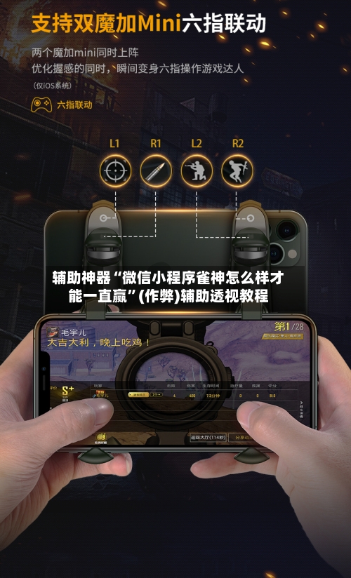 辅助神器“微信小程序雀神怎么样才能一直赢”(作弊)辅助透视教程-第2张图片