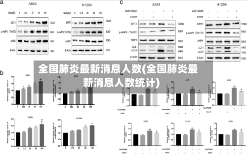 全国肺炎最新消息人数(全国肺炎最新消息人数统计)-第2张图片