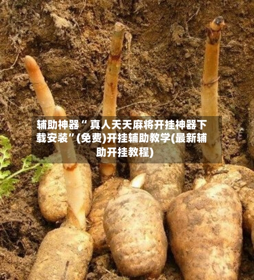 辅助神器“ 真人天天麻将开挂神器下载安装”(免费)开挂辅助教学(最新辅助开挂教程)-第2张图片
