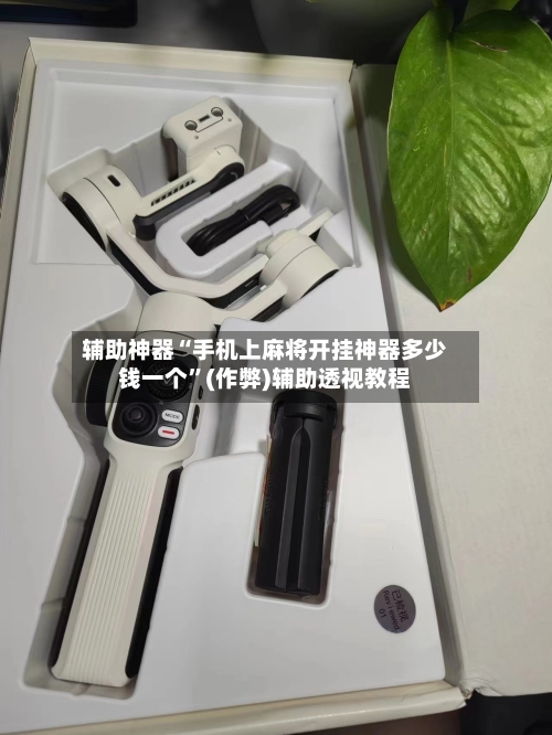 辅助神器“手机上麻将开挂神器多少钱一个”(作弊)辅助透视教程-第3张图片