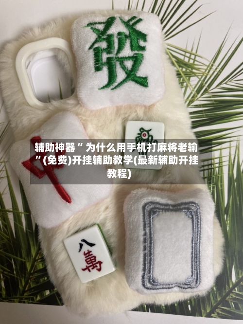 辅助神器“ 为什么用手机打麻将老输”(免费)开挂辅助教学(最新辅助开挂教程)-第2张图片