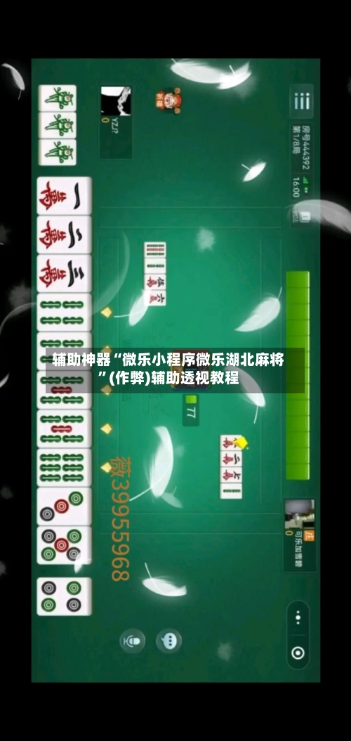 辅助神器“微乐小程序微乐湖北麻将”(作弊)辅助透视教程-第2张图片