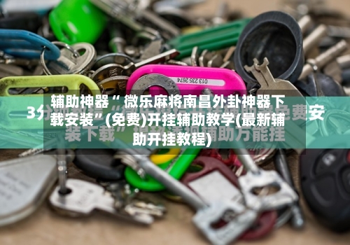 辅助神器“ 微乐麻将南昌外卦神器下载安装	”(免费)开挂辅助教学(最新辅助开挂教程)-第3张图片