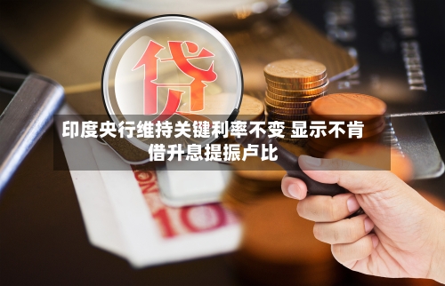 印度央行维持关键利率不变 显示不肯借升息提振卢比-第2张图片