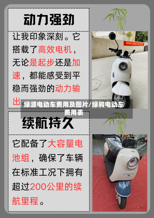绿源电动车费用及图片/绿驹电动车费用表