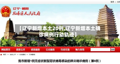 【辽宁新增本土20例,辽宁新增本土确诊病例行动轨迹】-第2张图片