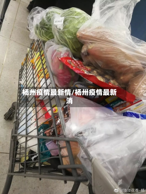 杨州疫情最新情/杨卅疫情最新消