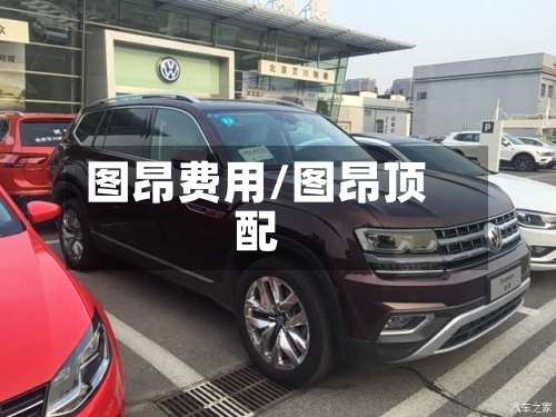 图昂费用/图昂顶配