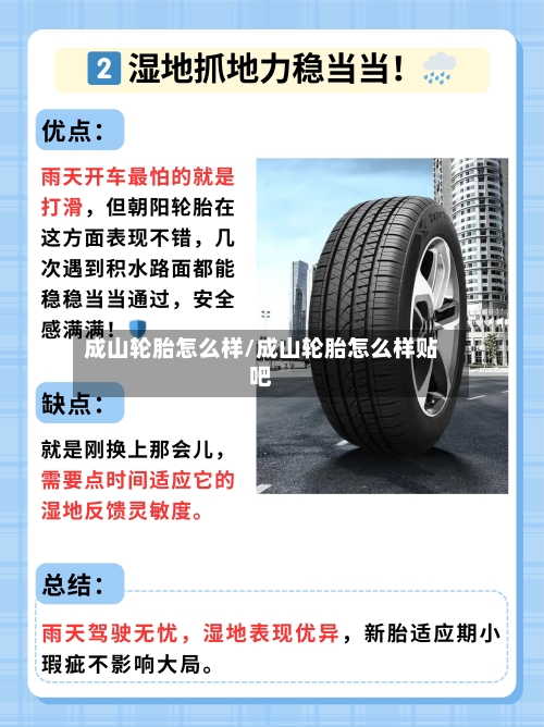 成山轮胎怎么样/成山轮胎怎么样贴吧-第3张图片