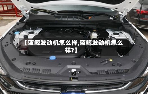 【蓝鲸发动机怎么样,蓝鲸发动机怎么样?】-第3张图片