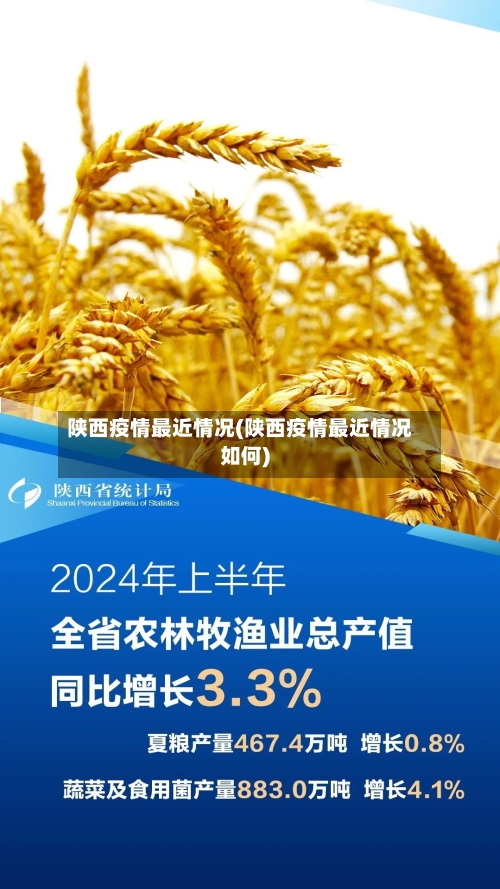 陕西疫情最近情况(陕西疫情最近情况如何)