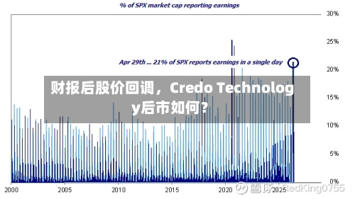 财报后股价回调	，Credo Technology后市如何？-第2张图片