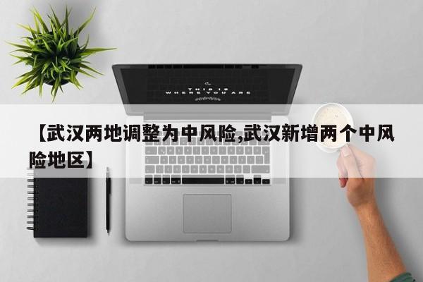 【武汉两地调整为中风险,武汉新增两个中风险地区】